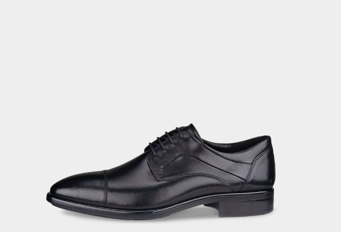 کفش رسمی اکو دانمارک مردانه ECCO CITYTRAY - رسمی چرمی فول‌گرین استایل کلاسیک رنگ مشکی